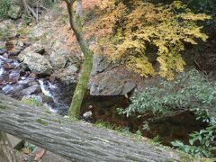 滝道は箕面川の渓谷に沿って続いて続いています。

渓谷にはけっこうごつごつした岩肌が。