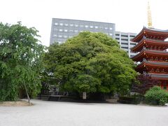 東長寺