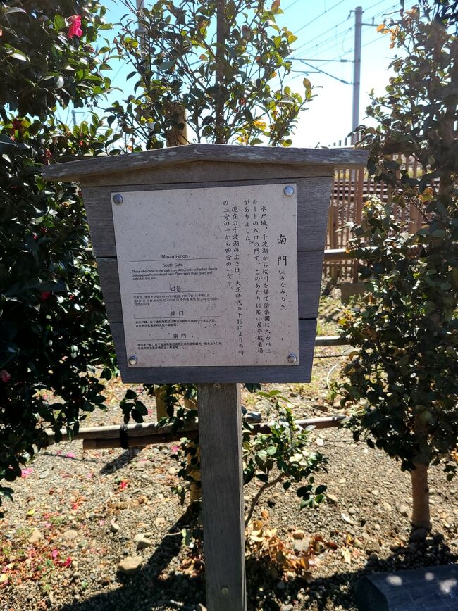 シニアトラベラー 偕楽園の梅まつり満喫の旅 水戸 茨城県 の旅行記 ブログ By 3104ねえねえさん フォートラベル