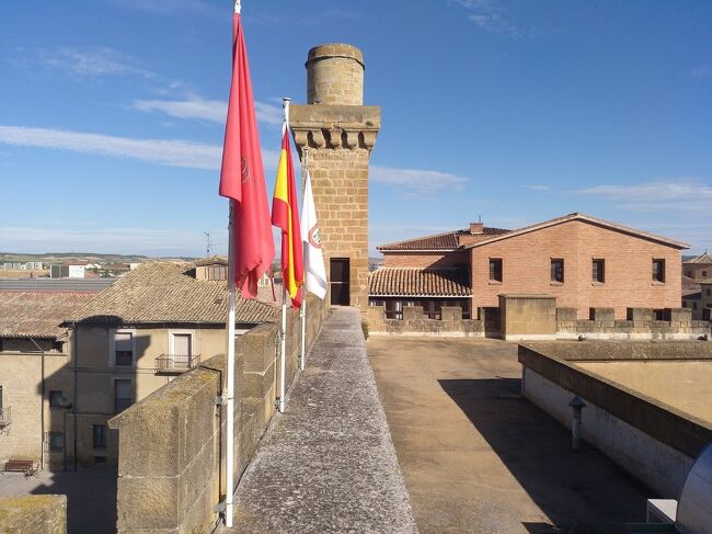 今日も登ってみました、、、