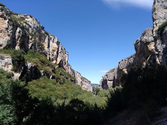 写真にはうまく取れませんでしたが<br />たくさんハゲワシが飛んでいて迫力でした。