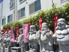 駅から菖蒲園に向かう途中、通り沿いに白い石像がずらっと並んでいました。
各地で七福神巡りをしたことがありますが、ここであれば巡る必要がなさそうです。
