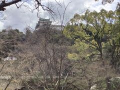 お箸廊下から見る和歌山城が好まれたということですが今日は曇りがちでパッとしませんでした。
