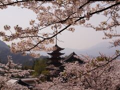 豊国神社 五重塔を望んで