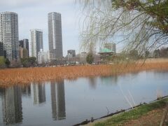 そこから路地を通って不忍池へはすぐ