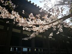 厳島神社とともに宮島を代表する景観