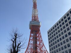 先月も台湾祭で東京タワーに来てるんだけど、その時は登ってないんで