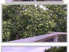 一人でも十分楽しめる・・色んな工夫がされていて気分転換にもなりました