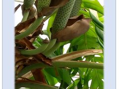 中も入って見る