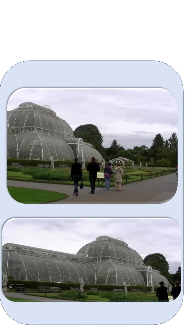 合体写真（　＾ω＾）・・・