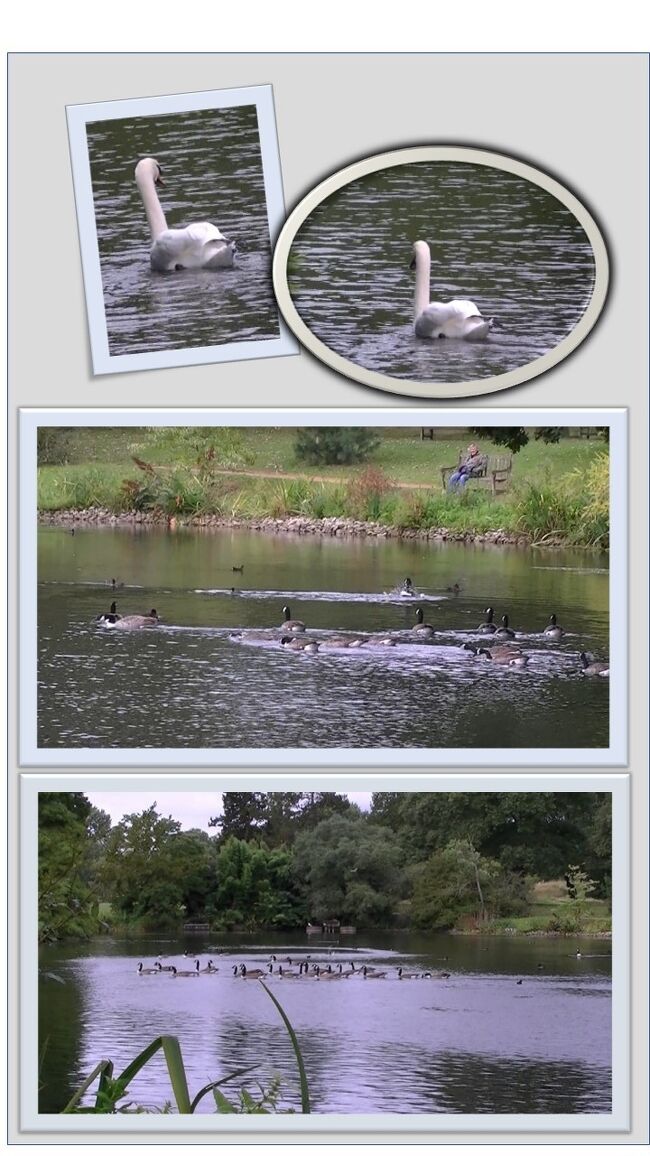 椅子に座ったおばあちゃまも鳥を見てリラックス^^)