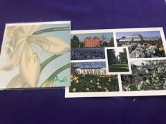 ショップでお土産選びを楽しむ＾＾
帰りに次の駅（終点）のリッチモンドへ行く予定でしたが、疲れて帰宅