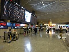 年末の成田空港、カメラも来ていました
オマーンのマスカットまでは片道航空券、パスポートにビザが無いことも聞かれる
オマーンからの他社の出国チケットを持っている旨、アライバルビザを取得する旨を伝えて発券してもらう