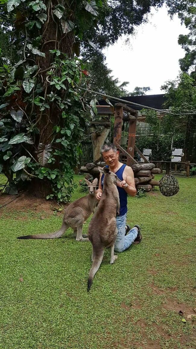 カンガルーに餌付け出来ます。費用は200円程度です。<br />記念写真は係の方に頼んで撮ってもらえます。