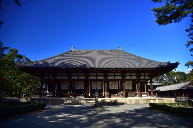 大和の国の古寺巡礼2 貸し切り状態の唐招提寺へ』奈良市(奈良県)の