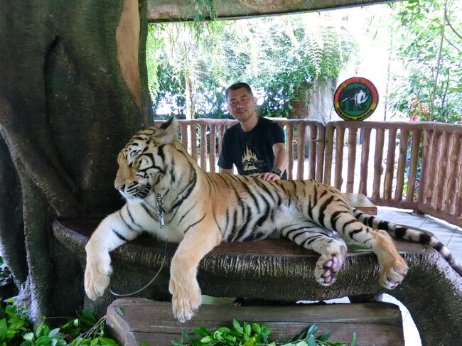 ライオン、トラ、オラウータン等と記念写真が撮れます。約10分程度で200円です。写真は係の方にカメラを渡せば無料で撮ってくれます。