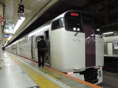 8:13、定刻通りに終点の東京駅に到着。

東京駅・総武地下ホームに着きました。