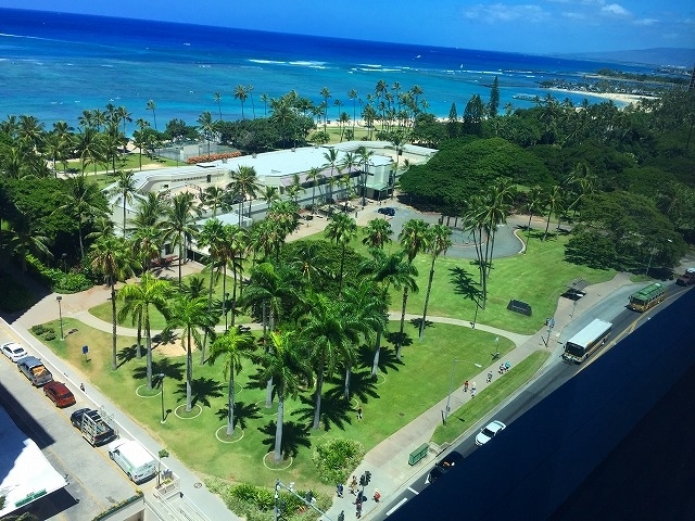 写真左下側の道です。<br />（お部屋から撮影）