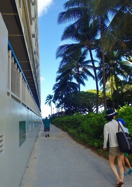 朝は日陰でちょっと涼しいです。<br /><br />