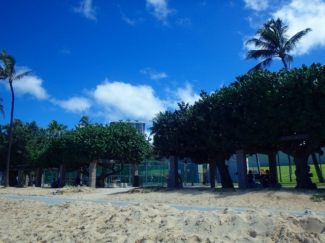 ビーチの後ろは公園で、日陰にはテーブルや椅子もあります。<br /><br /> <br />私達も早速ビーチマットを敷いて・・・