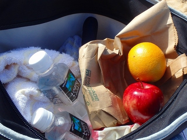 オレンジ＆りんご<br /><br />お水とタオルは人数分入ってました。<br /><br /><br />