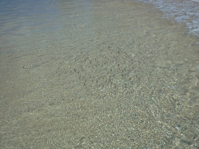 波打ち際をよ～く見ると・・・<br /><br /> 