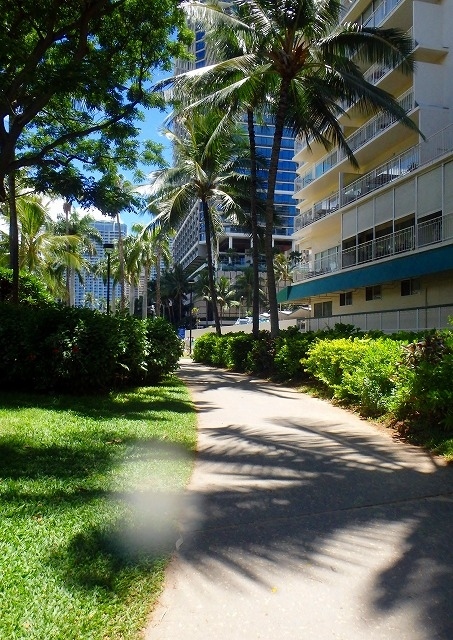 暫くビーチで遊び・・・そろそろお昼の時間。<br />帰りも同じ道を通ってホテルに戻って来ました。<br /><br />シャワーを浴びて、ランチに出かけます。