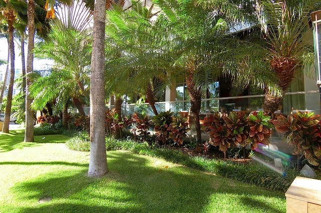 室内かテラス席が選べますが中はクーラーが効きすぎて寒いので、<br />外のテラス席をチョイスしました。<br />（昼間・通りから写した写真）<br /><br />メニューからお勧めを聞いてオーダー。<br /><br />最初に出て来たのは・・・<br />