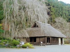 高麗家住宅は、御祭神の末裔である高麗氏の旧住居です。
横にある木はしだれ桜ということ。
春にはきれいな桜が咲くのでしょうね。