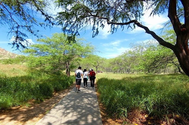 最初はなだらかな舗装された道を行きます。<br /><br /> 