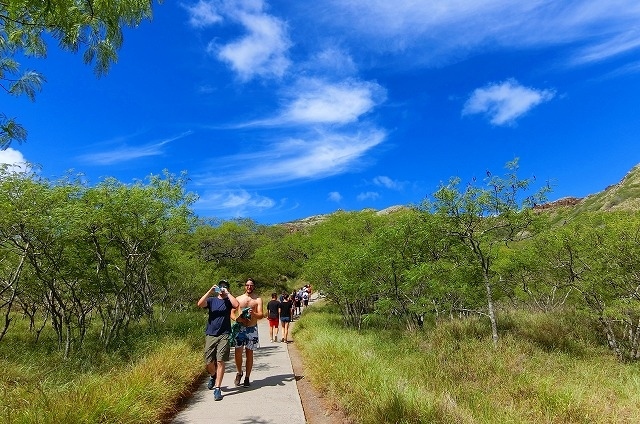 登る人や帰って来る人で山道は結構賑わっています。