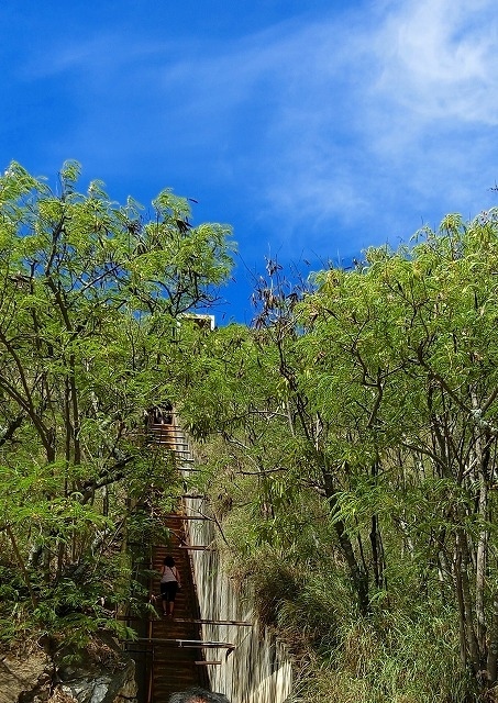 急な階段が・・・(;^_^A