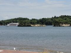 特異な地形が幸いして、松島の被害は少なかったようです。
ヘンなアングルですが、手前にカモメがいたので。