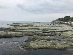 千畳敷駅の前に広がる風景、千畳敷。
