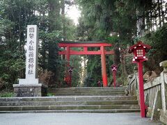 無料駐車場に停めて、芦ノ湖をフラフラしてたら「箱根神社」を発見。
むむむ、湖に鳥居が立つという有名な神社ですな！

行ってみようっ！ちなみに、その湖にある鳥居は密になるということで、近づけないようになっていました。
