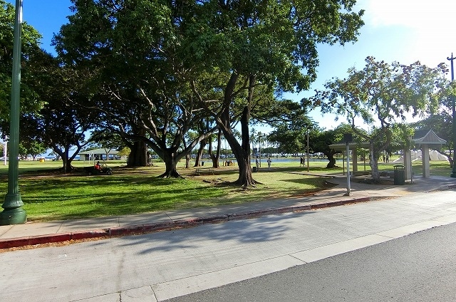 公園も気持ちが良さそうですね。