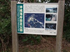 辺戸岬の手前にある茅打バンタに立ち寄りました。バンタとは沖縄の方言で崖のことです。地名の由来は、束ねた茅を崖から投げ込むと、強風でバラバラになることから来ているそうです。