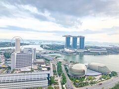 無事にシンガポール入国！
Grubで空港からホテルまで送迎してもらったのですが、運転手のお兄さんと話が盛り上がりました。シンガポールは綺麗な街だけれど税金が高く暮らすのは大変なんだそう…。こういう日常の話が聞けるのって、本当に面白い！

シンガポールでのホテルは「スイソテル　ザ　スタンフォードホテル」。
一泊10,000円ほど。マレーシアと比べると高いです。
こちらも景色重視、４７階のお部屋でした。最高の景色：）
どこにも出かけたくないくらい、この景色を独り占めしたかったです。

チェックインするときに手伝ってくれたお兄さん、ワンピースが大好きなんだそうで、私は全く見たことがないけれど知っているふりをして話を合わせてしまいました（笑）日本の文化を海外の方が好きって言ってくれるの嬉しいです。