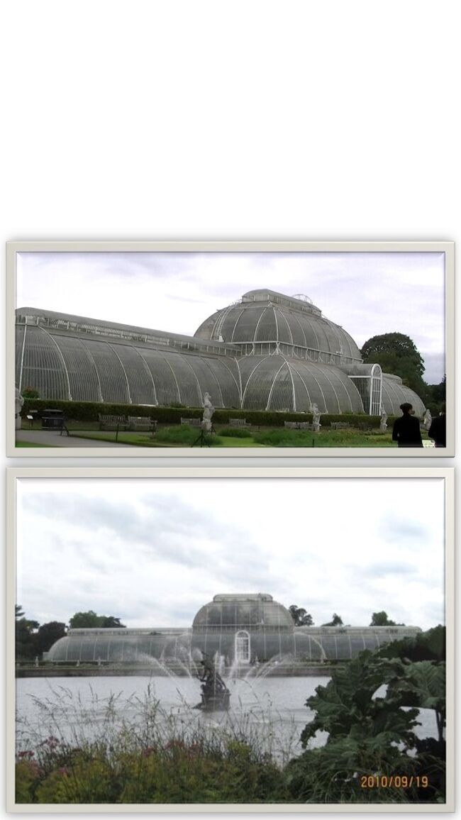 合体写真。これが当日の色・・曇り空でしたので暗め（＾＾；