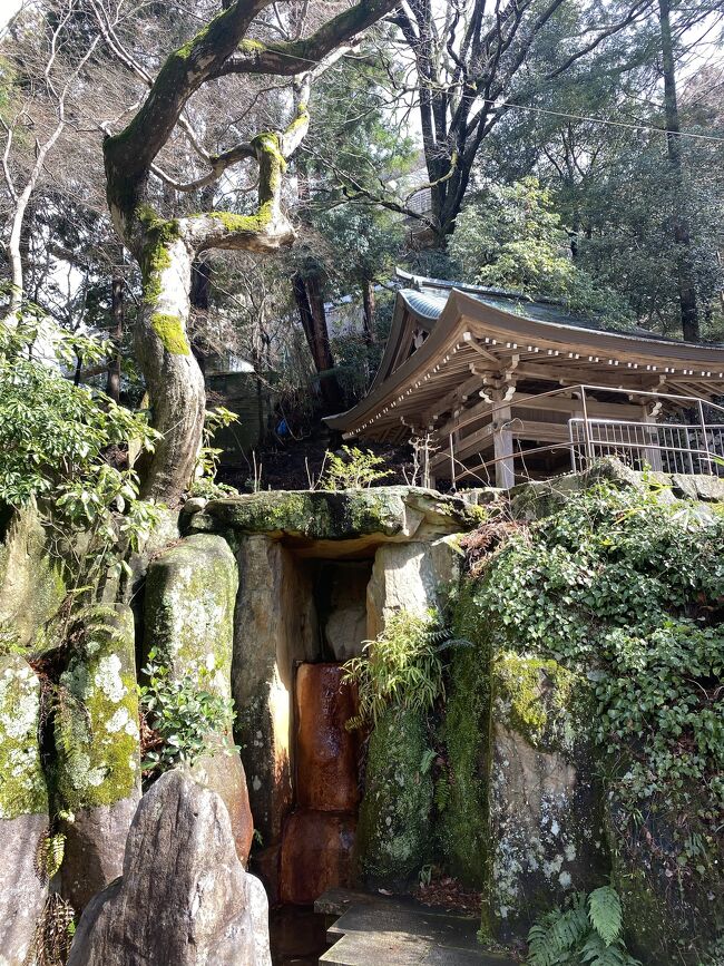 日帰りで探したのに激安のお宿があったので1泊　初有馬温泉へ