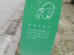 宝が池公園。北園の様子。子供向けのパネルなのかな。耳を澄ませて自然の音を聞いてみよう