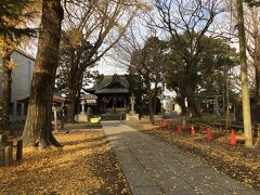 お腹も満たしたので八坂神社へ
