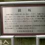 東京単身赴任時代の思い出　本郷、谷根千の文学散歩