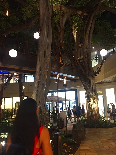 着いた所で<br />ガーーーン！！！<br /><br />なんと7：30からだと思っていたショーが7：00開始だったそうで<br />すでに終了していました(T_T)<br /><br />私のリサーチ不足でした。次回来た時に行こうね(^^)<br /><br /><br /><br />