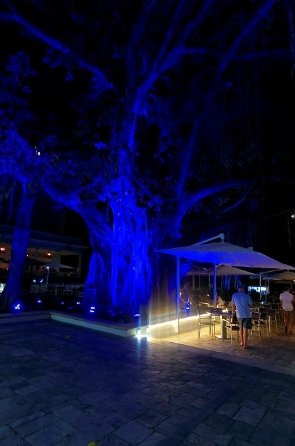 ホテルの中庭にあるのは<br />シンボルのバニアンツリー。<br /><br />ホテルを後にして<br />夜の浜辺を散歩しながら・・・