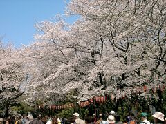 　東京きっての桜の名所だけに、多くの人で賑わっていた。