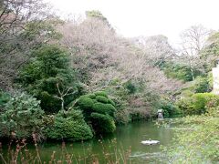 　早稲田の近くの椿山荘庭園　（2001年11月9日撮影）