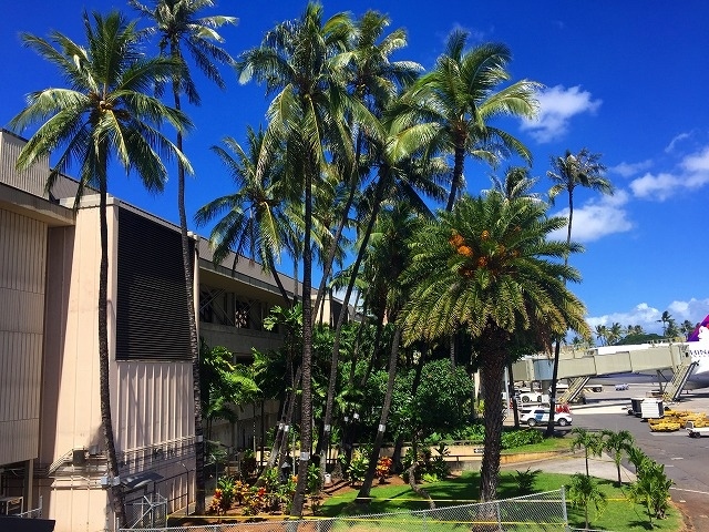 名古屋行きの飛行機の方が成田行きより少し早い出発なので<br /><br />T君親子とはラウンジでお別れです(^_^)/~~~