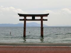 白鬚神社へ。湖の中の鳥居って神々しいですね。道の交通量が多いので琵琶湖川にわたるのはほぼ不可能です。