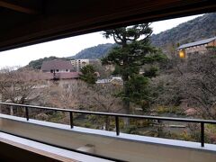そして、今宵の宿である吉池旅館に到着。
珍しく旅行会社で予約した宿で、それも一部屋しか空いてなかったので、少し不安だったのだが、部屋に案内されると、部屋は広く、窓も大きくて正直驚いた。
支払ったのは1万円そこそこだが、二万円以上はしそうである。